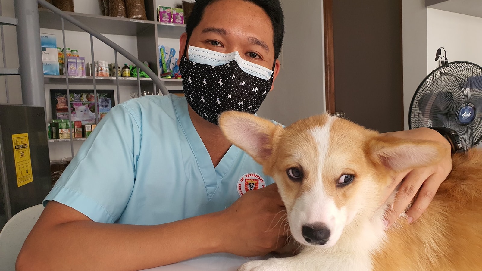 Tierärztin mit einem Hund in der Tierarztpraxis vor einer Operation